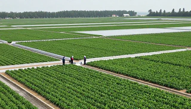 机电安装性能常见误区与正确理解